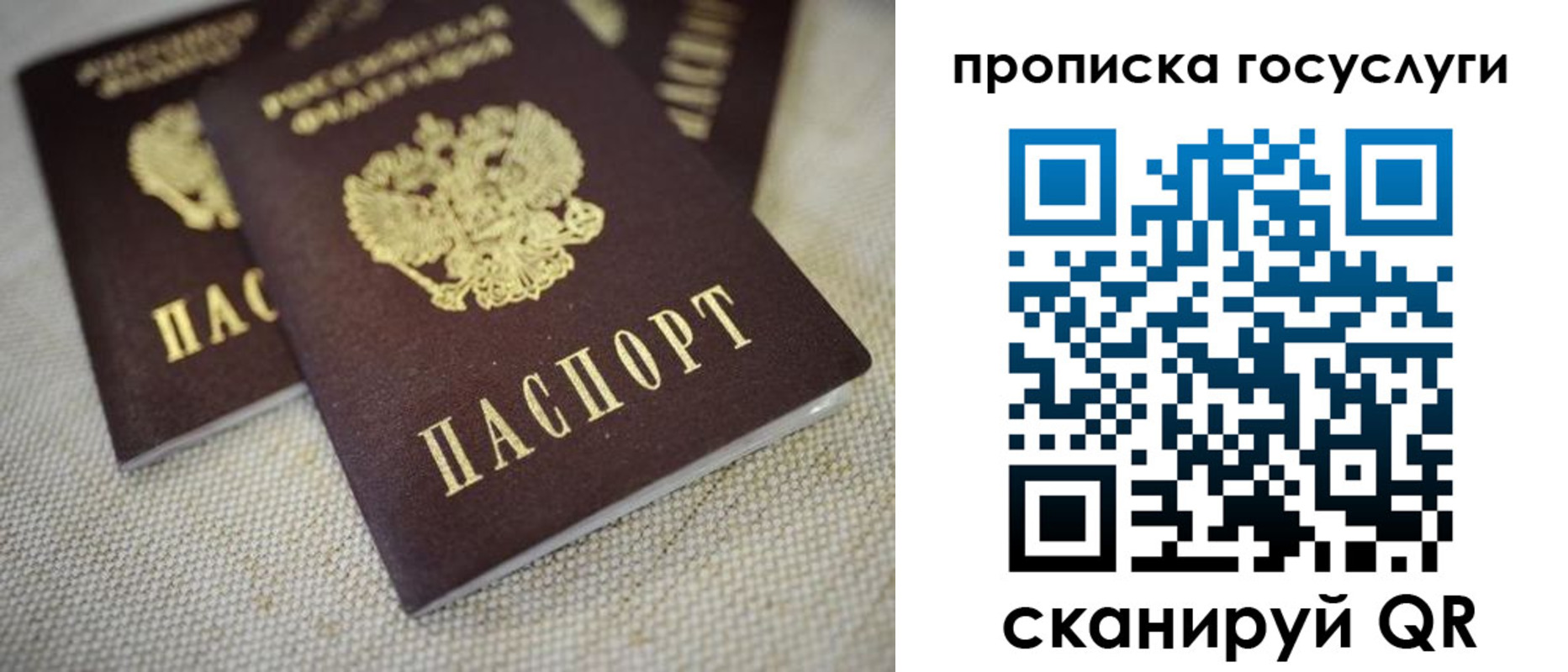 временная регистрация для всех в Камышине