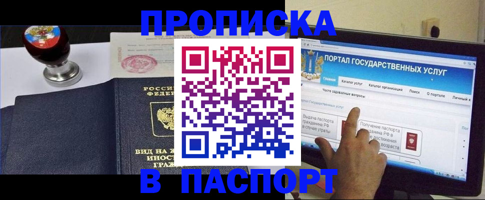 прописка 2025 в Камышине